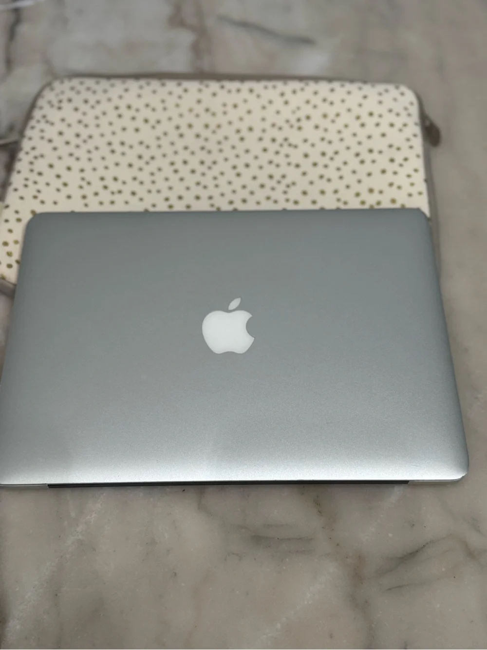 Apple Silver MacBook with Classic Apple Logo does not power on